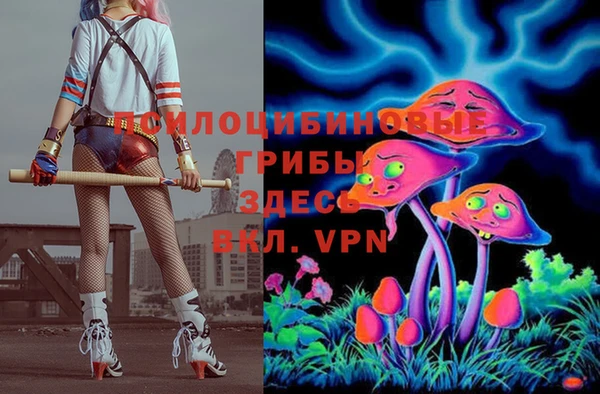 стафф Аркадак