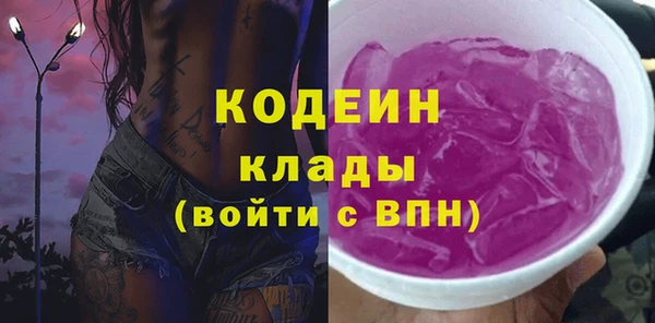 молекула духа Арсеньев