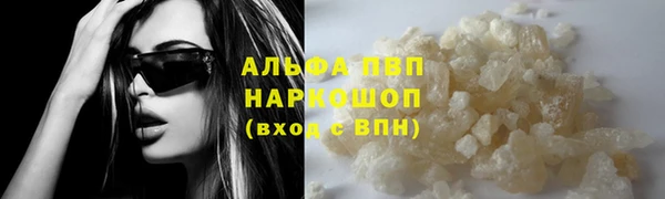 стафф Аркадак