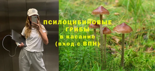 стафф Аркадак