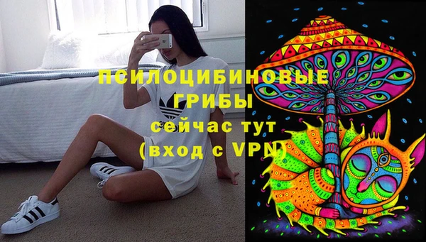 молекула духа Арсеньев