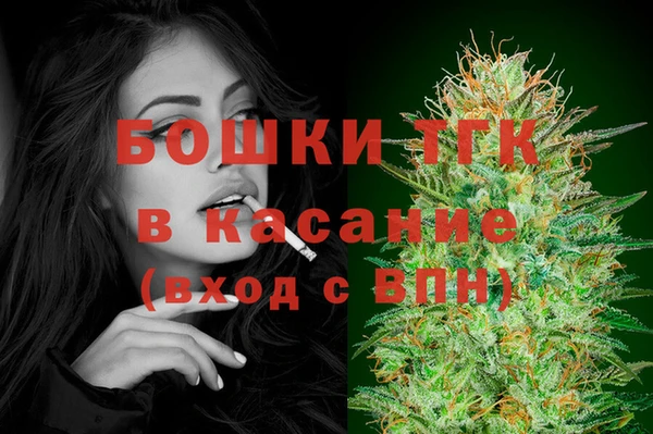 молекула духа Арсеньев