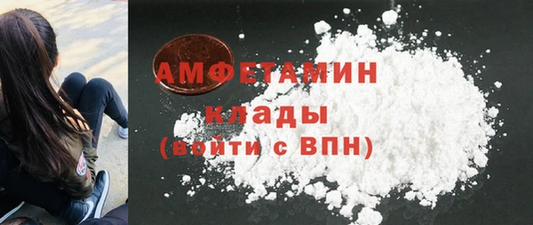 молекула духа Арсеньев