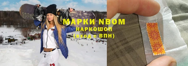 молекула духа Арсеньев