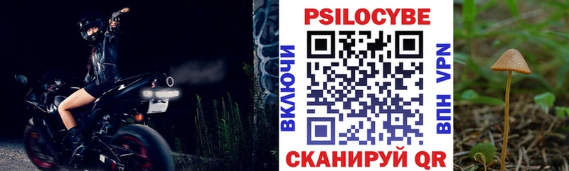 Галлюциногенные грибы Psilocybine cubensis  Советская Гавань 